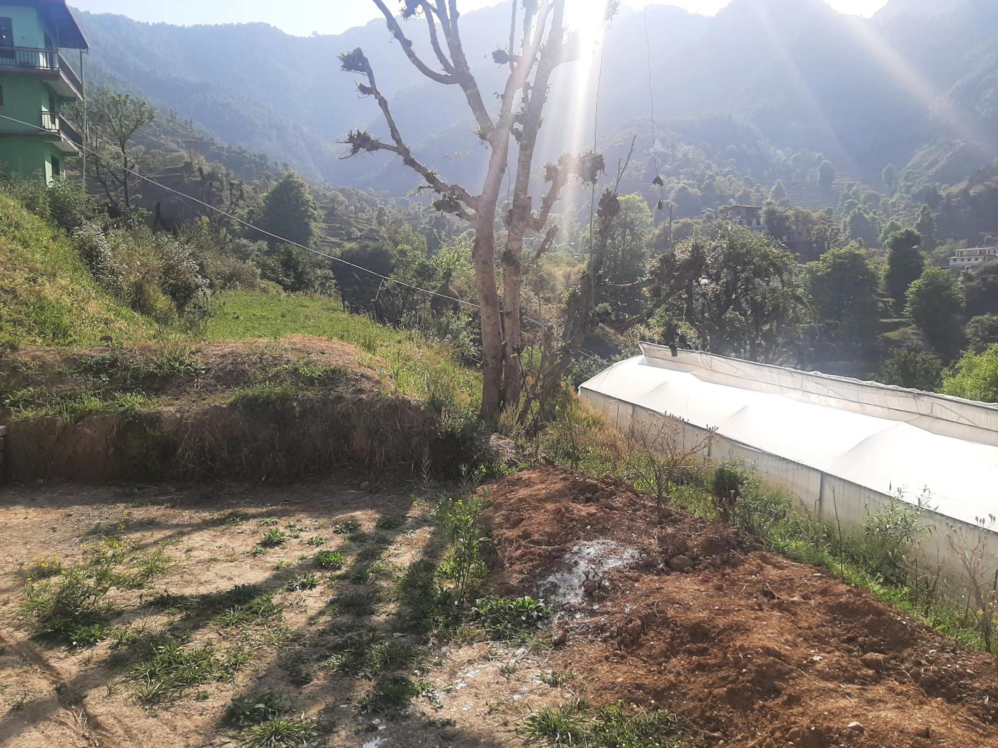 Parvatiya Homestay Mussoorie Exterior foto